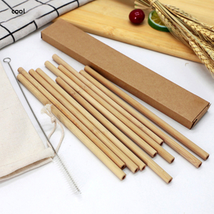 Cool Eco- Friendly Natural Bamboo Drinking Straws with bag